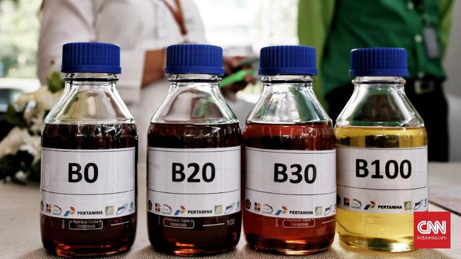 Bahan Bakar Nabati Biodiesel (BelajarEnergi.com)
